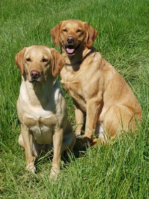 2 Blondinen