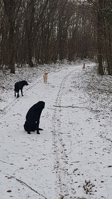 Winterspaziergang .... 