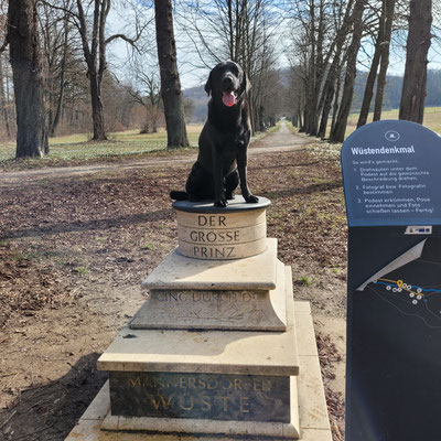 Leger war beim Training in der Wüste mit