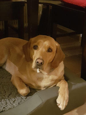 Greta ... du hast da was ....