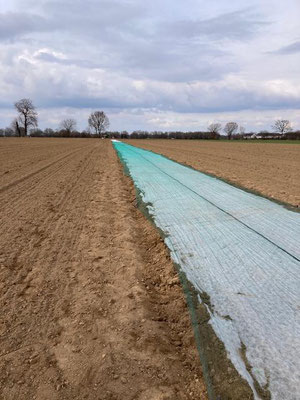 Das Vlies beschleunigt das Wachstum und schützt die Pflanzen vor den noch vorkommenden leichteren Nachtfrösten. Das Netz schützt vor Vögeln und Hasen denen die zarten Pflänzchen auch gut schmecken und die das Vlies einfach kaputthacken würden.