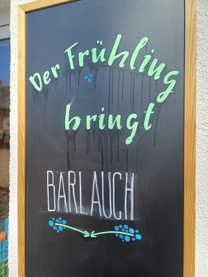 Der allererste Frühlingsbote jedes Jahr ist der Bärlauch!