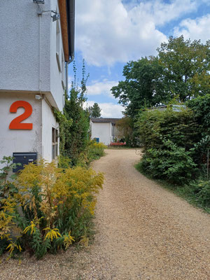 Auf dem Hof geht es vom "kleinen Hof" weiter durch die nächste Einfahrt auf den "Haupthof" und dort ist wie bekannt genügend Parkfläche, Wendemöglichkeit und v.a. unser Hofladen:)