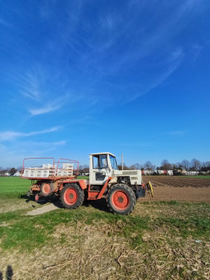 OId but Gold. Traktor und Pflanzmaschine sind je schon mehrere Jahrzehnte alt, tun aber noch zuverlässig ihren Dienst.