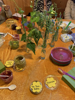 Wildkräuterführung mit Verkostung