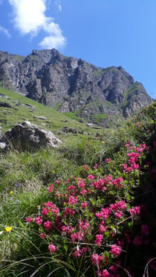 Nähe Sommerberg