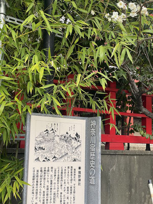 金蔵院と対をなす、熊野神社