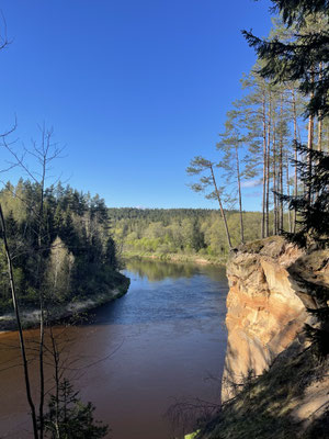 Spaziergang im Gauja Nationalpark.