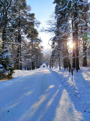 Winter in Schweden