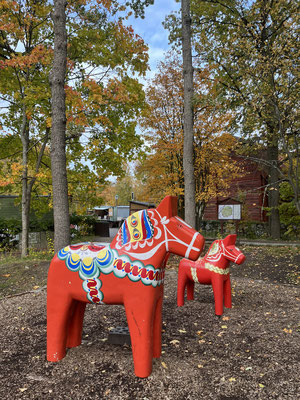 Dalahäst im Skansen (Foto: privat)