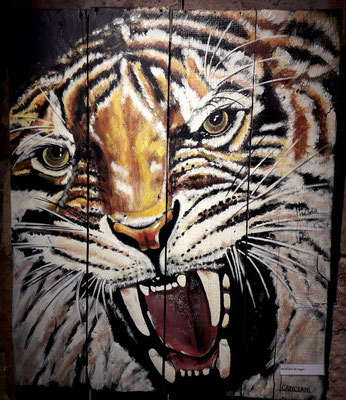 portrait de tigre 220€