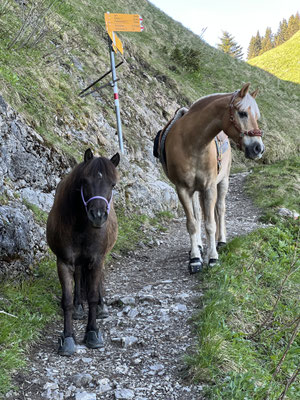 Mai 2026, unterwegs zum Hohen Kasten