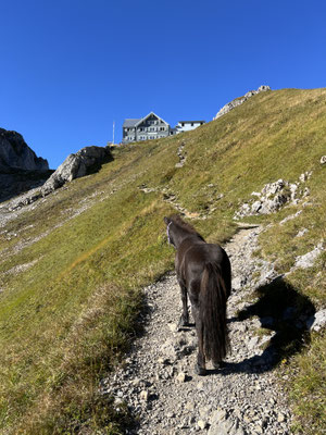 den Rotsteinpass im Blick