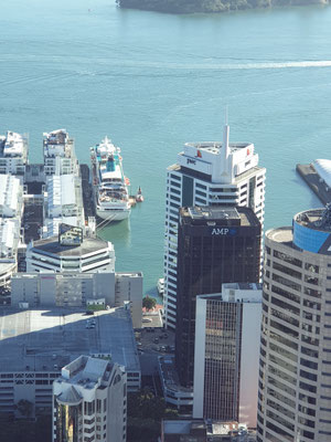 Bild vom Sky Tower Auckland