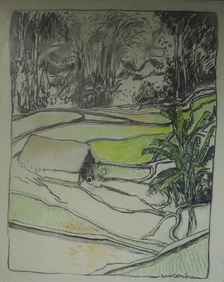 22-Vietnam, rizière, technique mixte (fusain, pastel, huile) sur bois médium, 65 cm x 81 cm, prix : 950 €