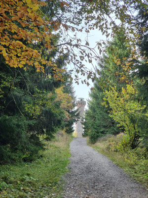 Hohlohturm am Kaltenbronn