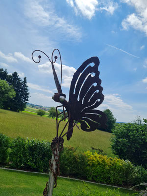 Schmetterling