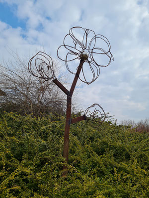 Blume-2