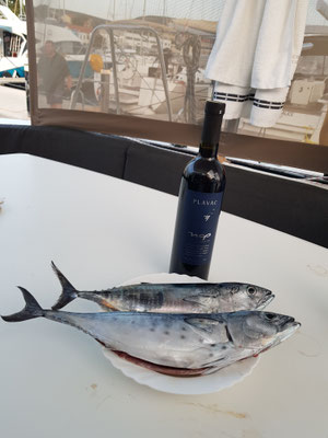 Männer auf Kurs Segeln Coaching: Erfolgreiche Jagd