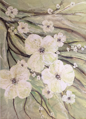 50x70x2 cm