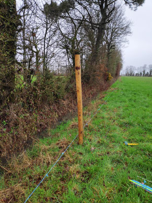 poteau bois enclos cloture 