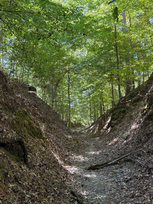 Der Sunken Trace, Teil des Natchez-Trace, der bis nach Nashville ging