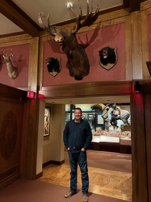 Ich bin beeindruckt von der Größe des "moose" / nordamerikanischen Elchs und musste Gerrit darunter platzieren für dieses Foto