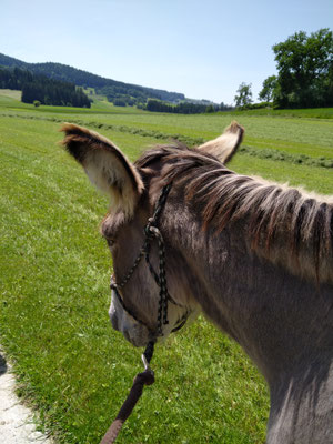 Danach geht es entspannter weiter.