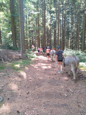 Wald