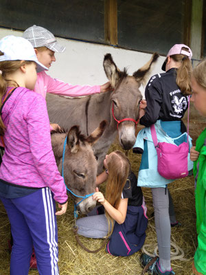 Norbu und Nappi haben sich nachts in den Stall gestellt.