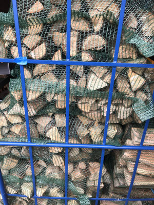Brennholz Buche im Netzsack
