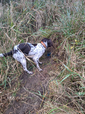 Vorstehen am befahrenen Kunstbau