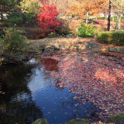 慧日寺