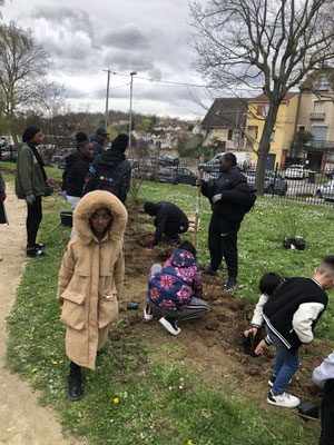 Chantier de plantation. Public scolaire. Cité Galliéni, Pierrefitte s/ Seine