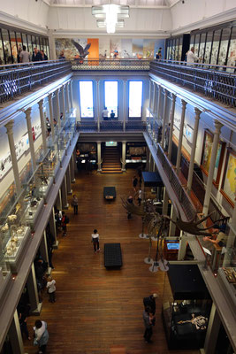 Australian Museum, plus ancien musée d'Australie (1827)