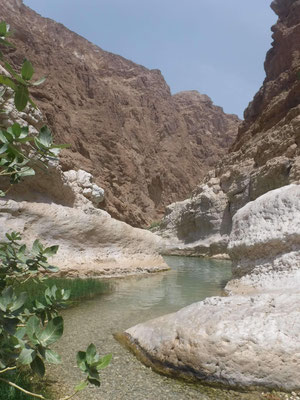 Dans le Wadi Shab