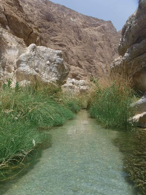 Balade les pieds dans l'eau dans le Wadi Shab