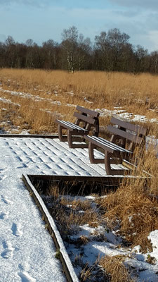 Winter am Ewigen Meer