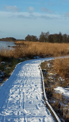 Winter am Ewigen Meer