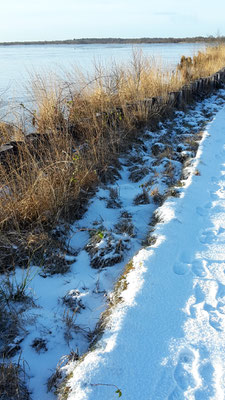 Winter am Ewigen Meer