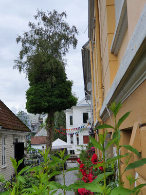 Schönes Bergen