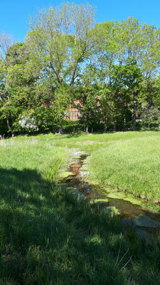 das Schloss versteckt sich hinter einem "Burggraben"