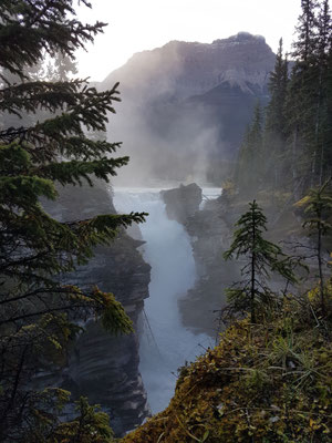 Athabasca Falls
