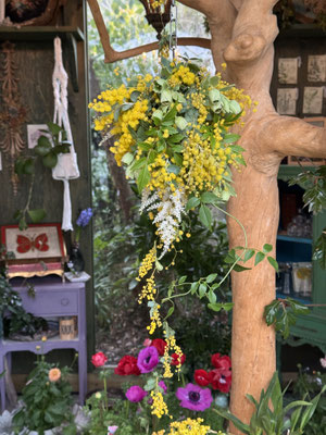 3月ミモザのフライングボール