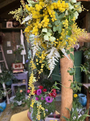 3月ミモザのフライングボール