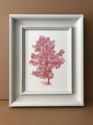 "Árbol en Rosa Hibisco". 53,5 x 44 cm. framed. Colored pencil on paper glued to aluminium dibond and wood frame. Private collection. Sold.