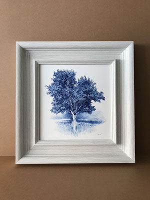 "Árbol en Azul Indantreno" 46 x 44 cm. framed. Colored pencil on paper glued to aluminium dibond and wood frame. Private collection.