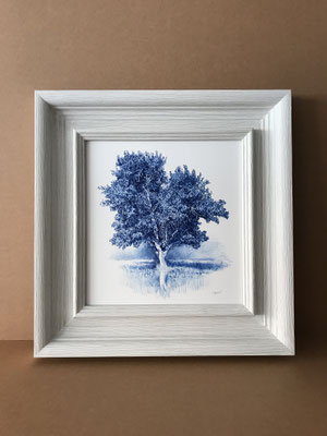 "Árbol en Azul Indantreno" 46 x 44 cm. framed. Colored pencil on paper glued to aluminium dibond and wood frame. Private collection. Sold.