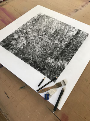 Lápiz#8. Black pencil on paper glued to aluminium dibond. 50 x 50 cm. Sold, private collection.