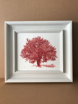 "Árbol en Marrón Perileno 2"  51 x 46 cm. framed. Colored pencil on paper glued to aluminium dibond and wood frame. Private collection.